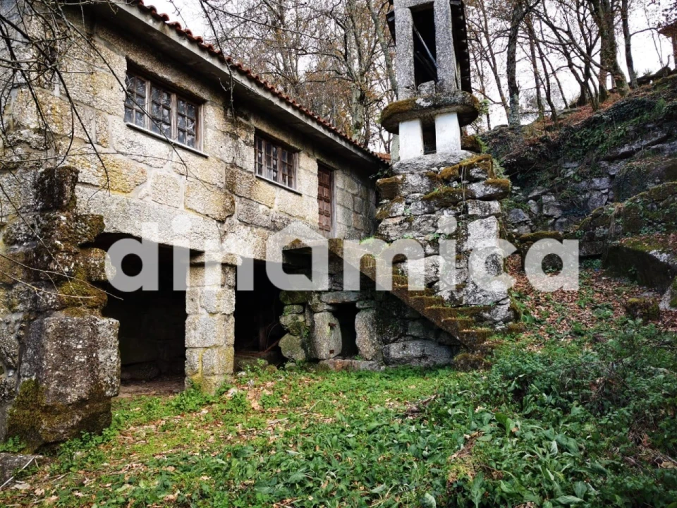 Quinta T3 para Venda em Rossas Foto 17