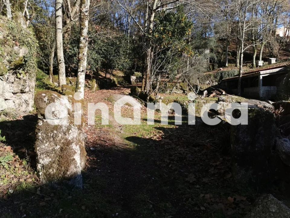 Quinta T3 para Venda em Rossas Foto 21