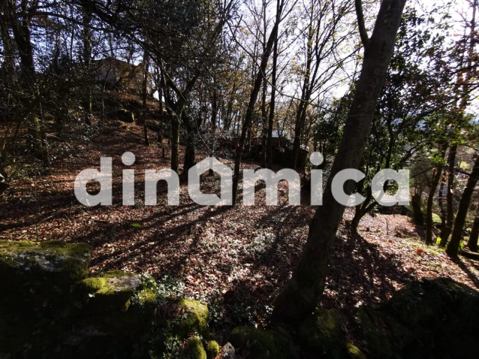 Quinta T3 para Venda em Rossas Foto 32