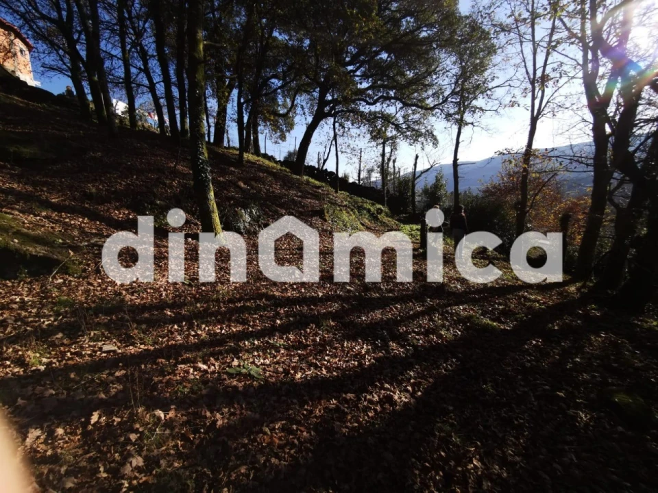 Quinta T3 para Venda em Rossas Foto 33