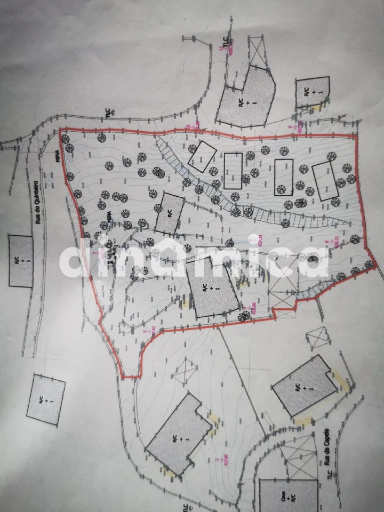 Quinta T3 para Venda em Rossas Foto 37