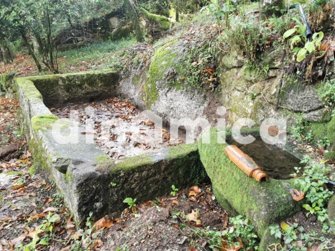 Quinta T3 para Venda em Rossas Foto 4