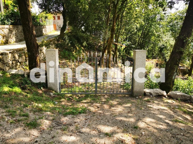 Quinta T3 para Venda em Rossas Foto 3