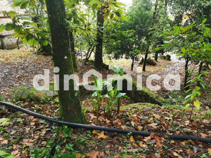 Quinta T3 para Venda em Rossas Foto 8