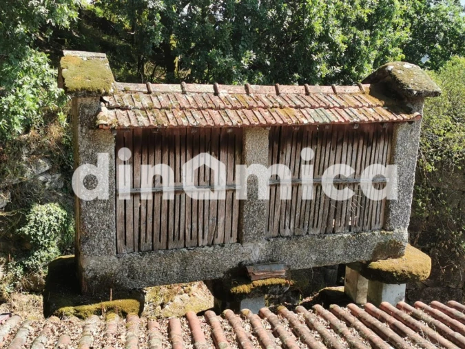 Quinta T3 para Venda em Rossas Foto 13