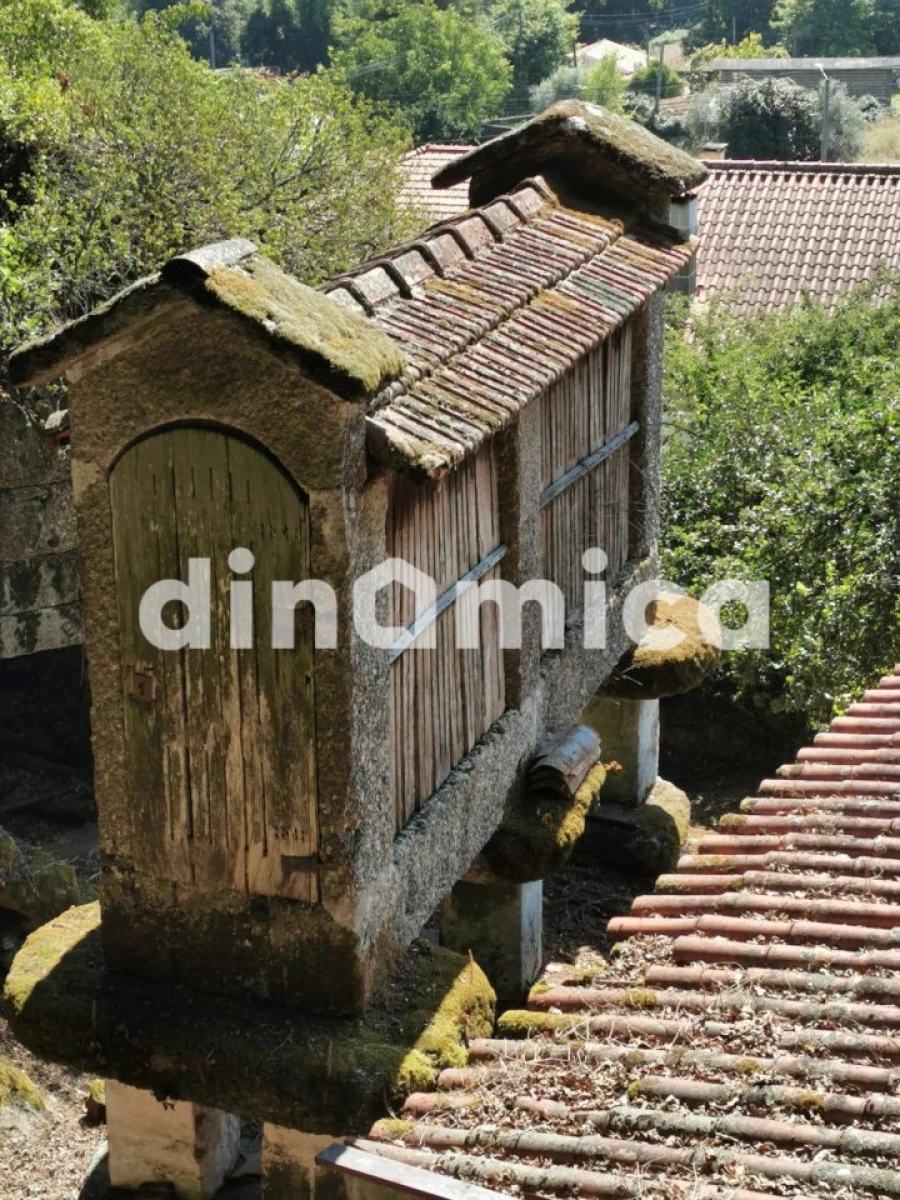 Quinta T3 para Venda em Rossas Foto 14