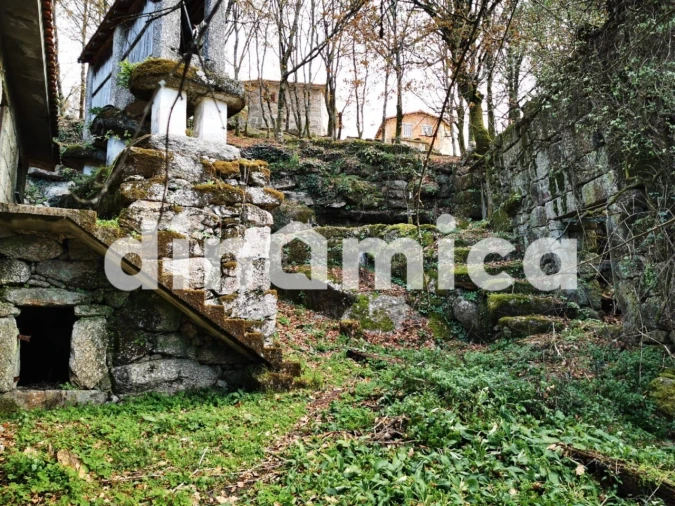 Quinta T3 para Venda em Rossas Foto 18