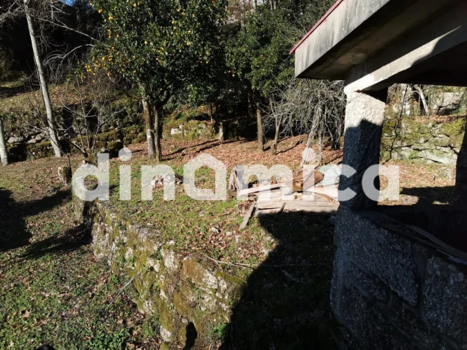 Quinta T3 para Venda em Rossas Foto 28