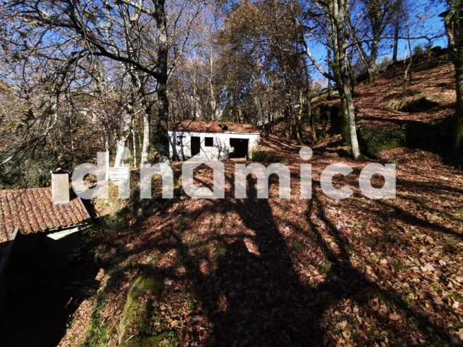 Quinta T3 para Venda em Rossas Foto 35