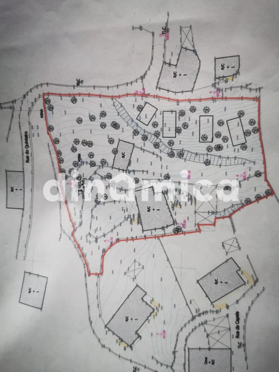 Quinta T3 para Venda em Rossas Foto 37