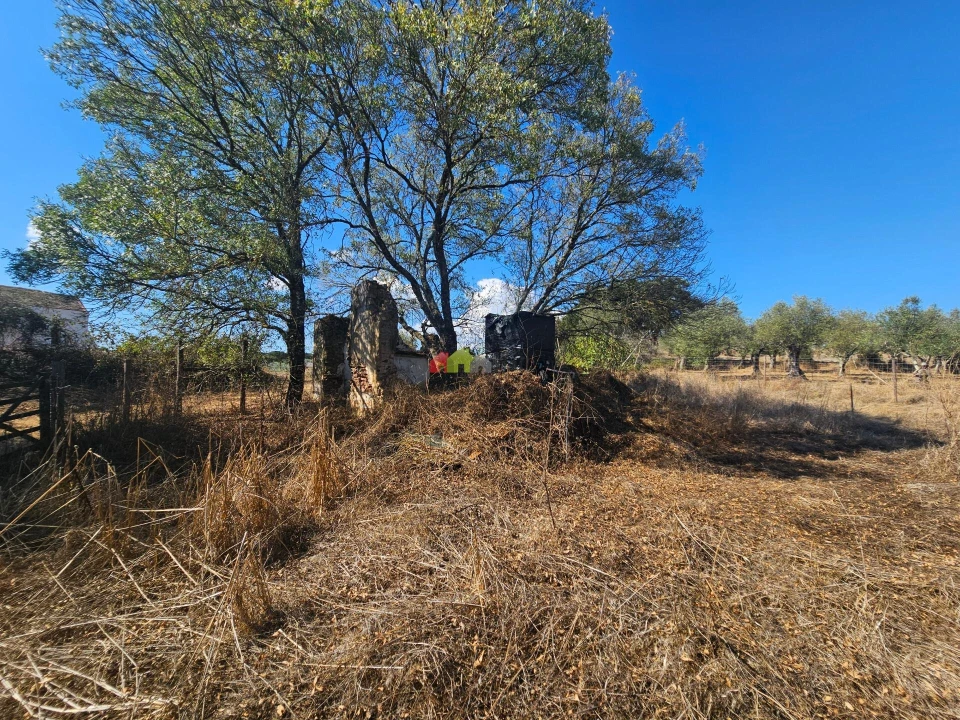 Terreno para Venda em Nossa Senhora da Vila, Nossa Senhora do Bispo e Silveiras Foto 8
