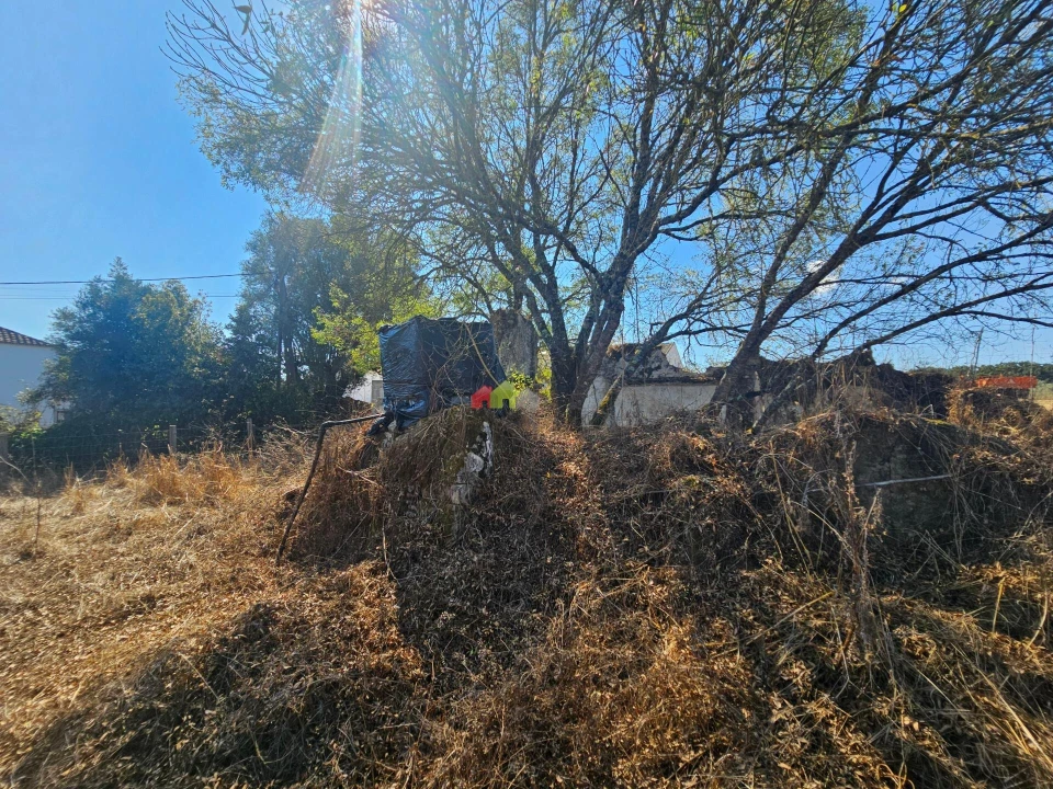 Terreno para Venda em Nossa Senhora da Vila, Nossa Senhora do Bispo e Silveiras Foto 6