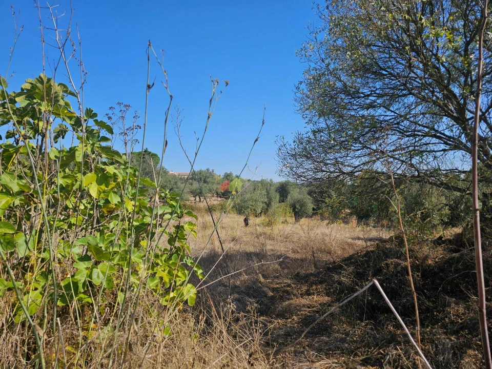 Terreno para Venda em Nossa Senhora da Vila, Nossa Senhora do Bispo e Silveiras Foto 10