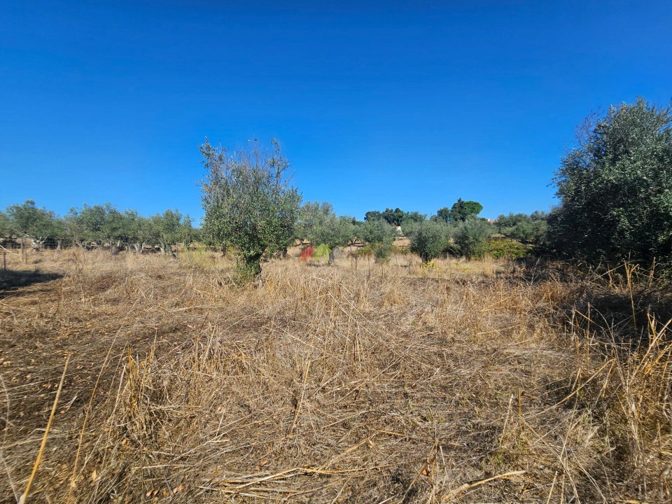Terreno para Venda em Nossa Senhora da Vila, Nossa Senhora do Bispo e Silveiras Foto 14