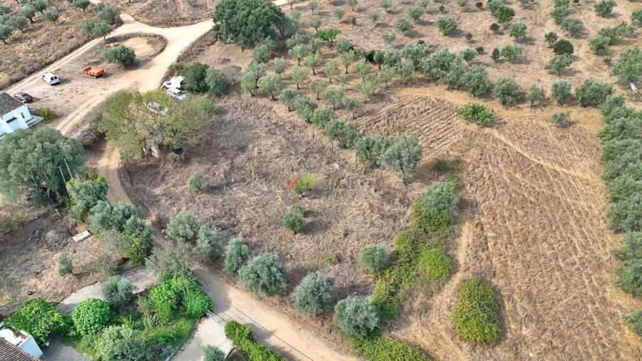 Terreno para Venda em Nossa Senhora da Vila, Nossa Senhora do Bispo e Silveiras Foto 16