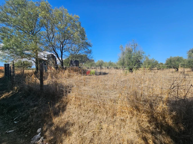 Terreno para Venda em Nossa Senhora da Vila, Nossa Senhora do Bispo e Silveiras Foto 15