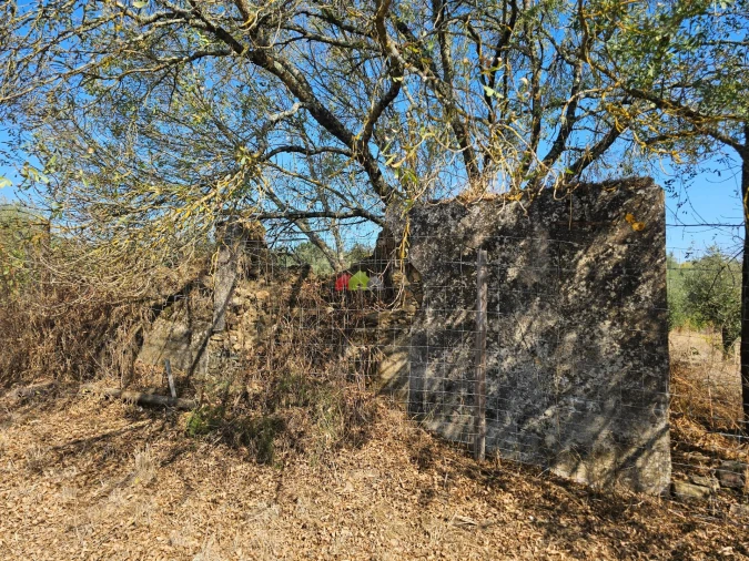 Terreno para Venda em Nossa Senhora da Vila, Nossa Senhora do Bispo e Silveiras Foto 7