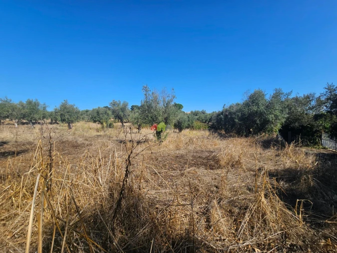 Terreno para Venda em Nossa Senhora da Vila, Nossa Senhora do Bispo e Silveiras Foto 11