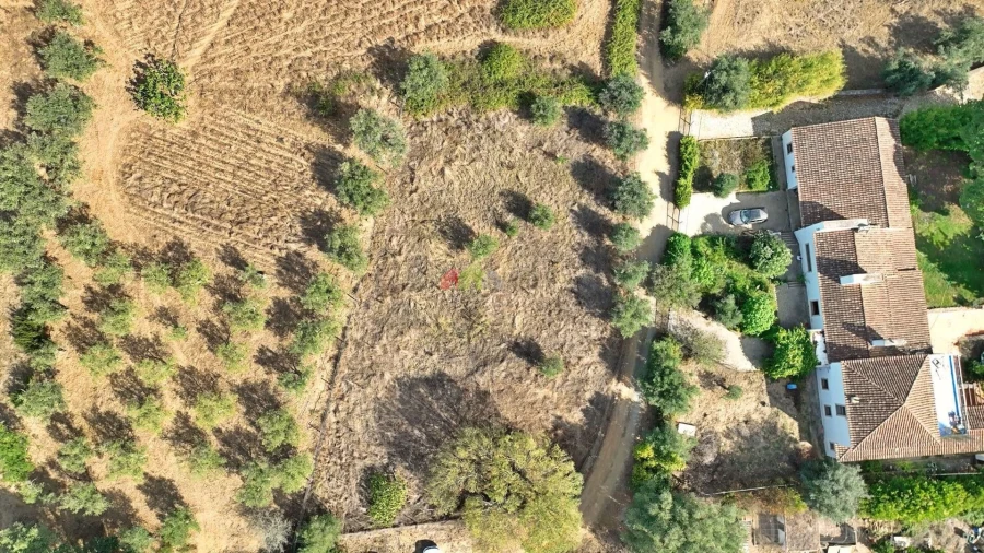 Terreno para Venda em Nossa Senhora da Vila, Nossa Senhora do Bispo e Silveiras Foto 3
