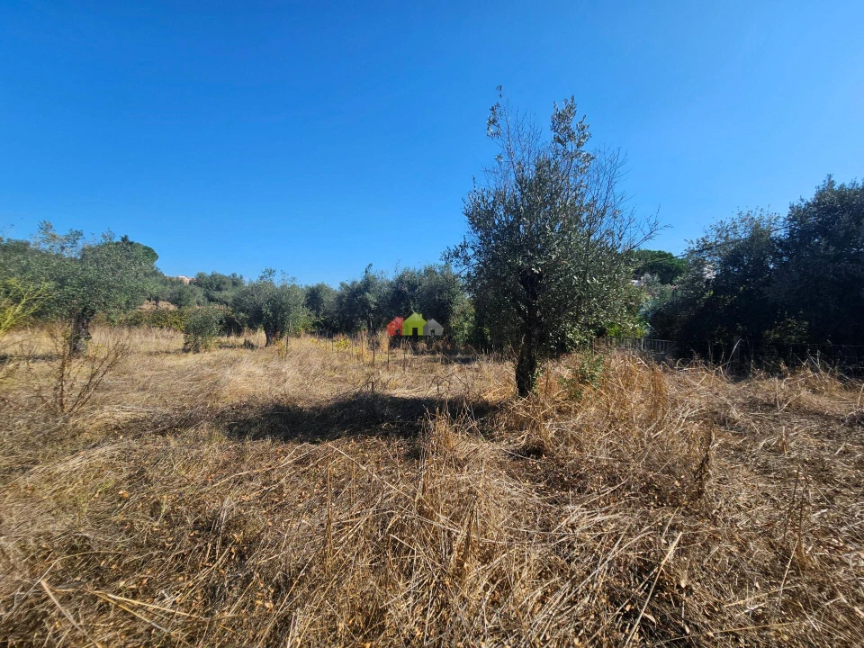 Terreno para Venda em Nossa Senhora da Vila, Nossa Senhora do Bispo e Silveiras Foto 13