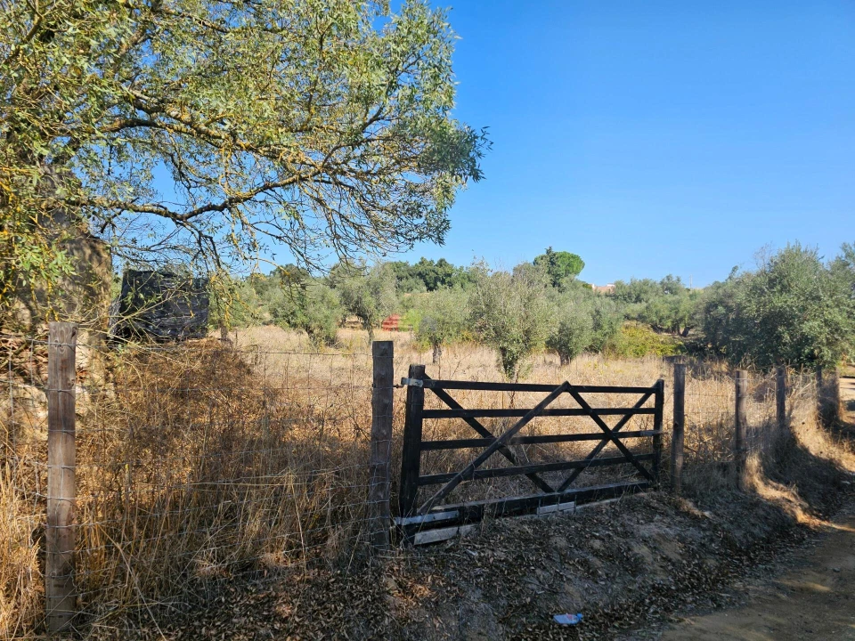 Terreno para Venda em Nossa Senhora da Vila, Nossa Senhora do Bispo e Silveiras Foto 5