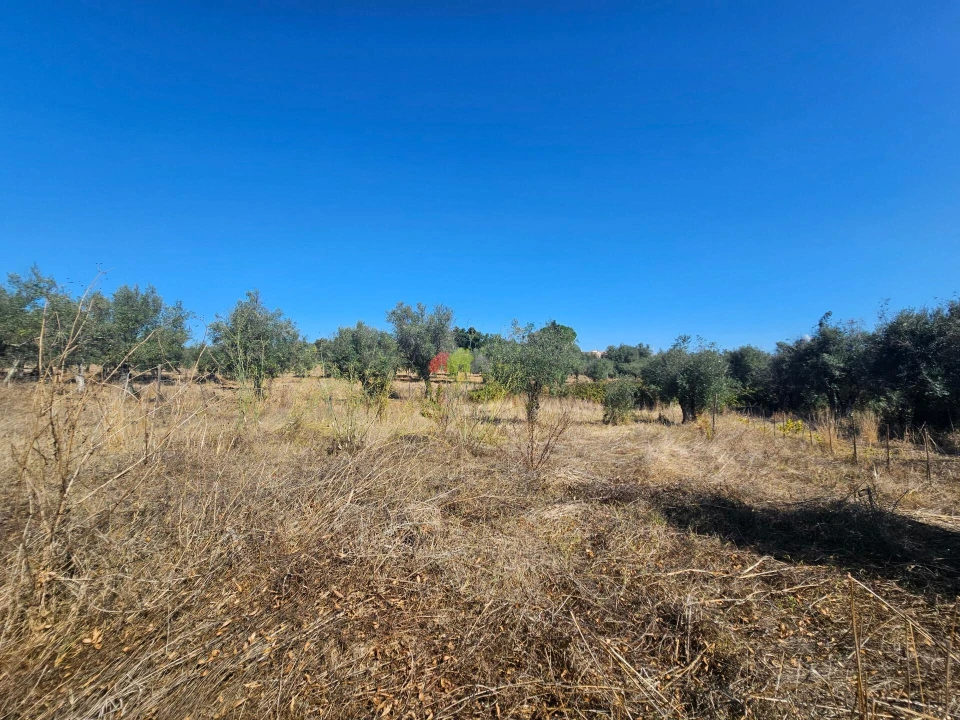 Terreno para Venda em Nossa Senhora da Vila, Nossa Senhora do Bispo e Silveiras Foto 12