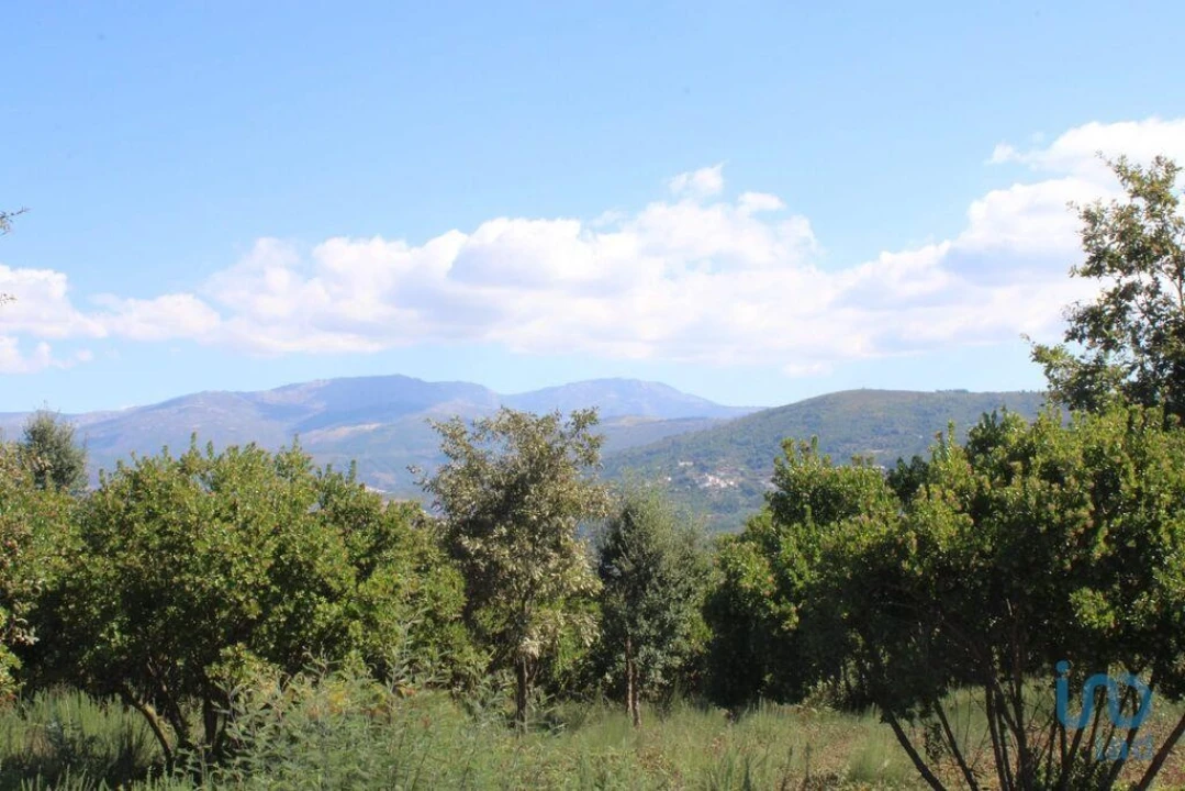 Terreno para Venda em Lagos da Beira e Lajeosa Foto 4