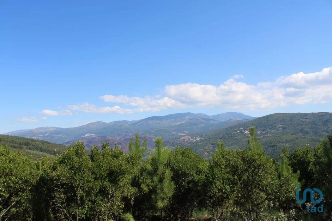Terreno para Venda em Lagos da Beira e Lajeosa Foto 10