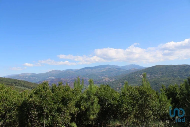 Terreno para Venda em Lagos da Beira e Lajeosa Foto 10