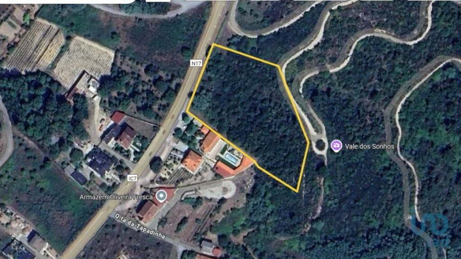 Terreno para Venda em Lagos da Beira e Lajeosa Foto 3