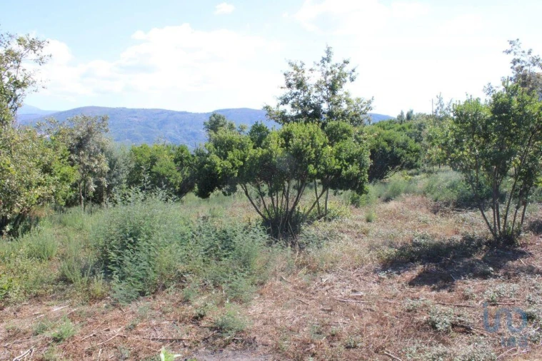 Terreno para Venda em Lagos da Beira e Lajeosa Foto 8