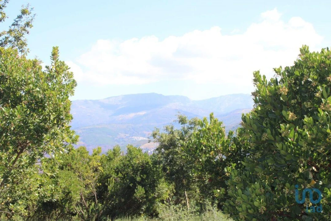 Terreno para Venda em Lagos da Beira e Lajeosa Foto 7