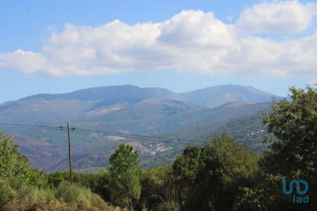 Terreno para Venda em Lagos da Beira e Lajeosa Foto 1