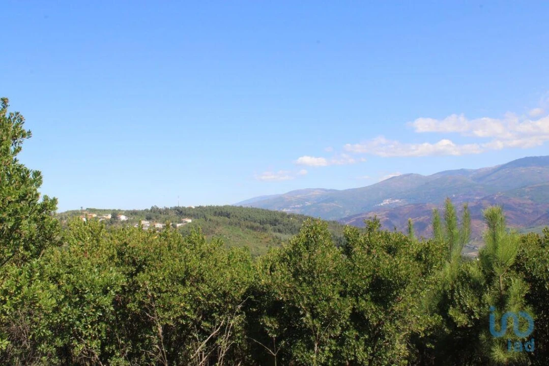 Terreno para Venda em Lagos da Beira e Lajeosa Foto 5
