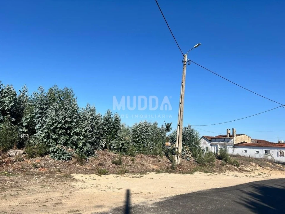 Terreno para Venda em Avanca Foto 2