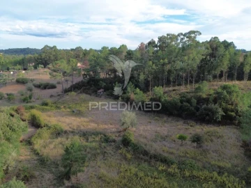 Terreno para Venda em Arneiro das Milhariças