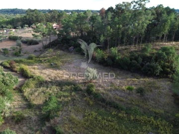 Terreno para Venda em Arneiro das Milhariças