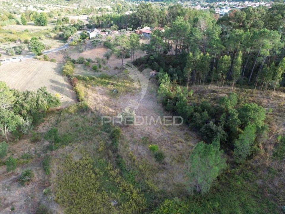 Terreno para Venda em Arneiro das Milhariças Foto 2