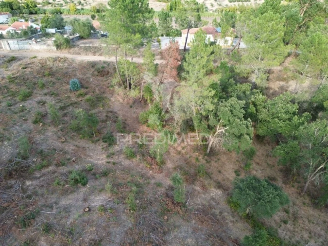 Terreno para Venda em Arneiro das Milhariças Foto 9