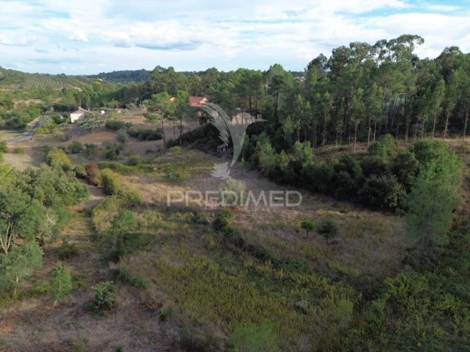 Terreno para Venda em Arneiro das Milhariças Foto 14