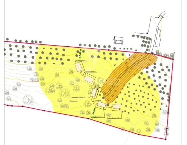 Quinta para Venda em Capelins (Santo Antonio) Foto 14