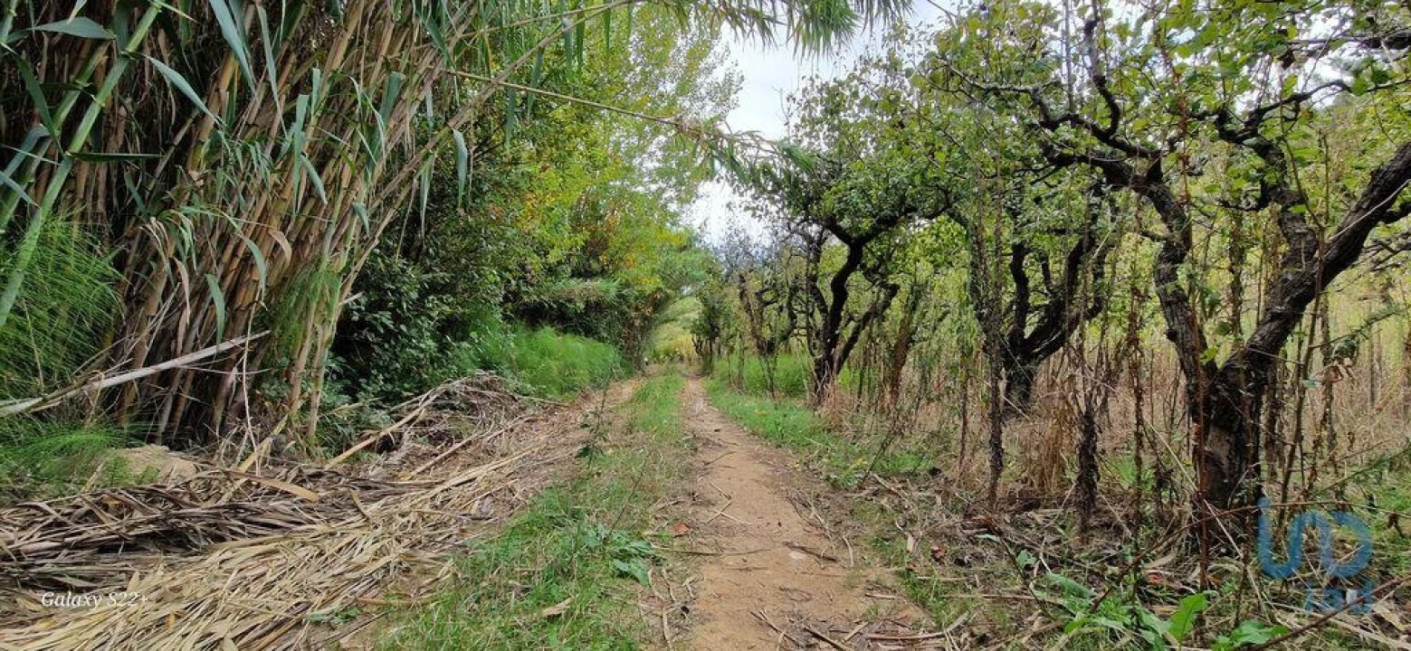 Terreno para Venda em Azueira e Sobral da Abelheira Foto 7