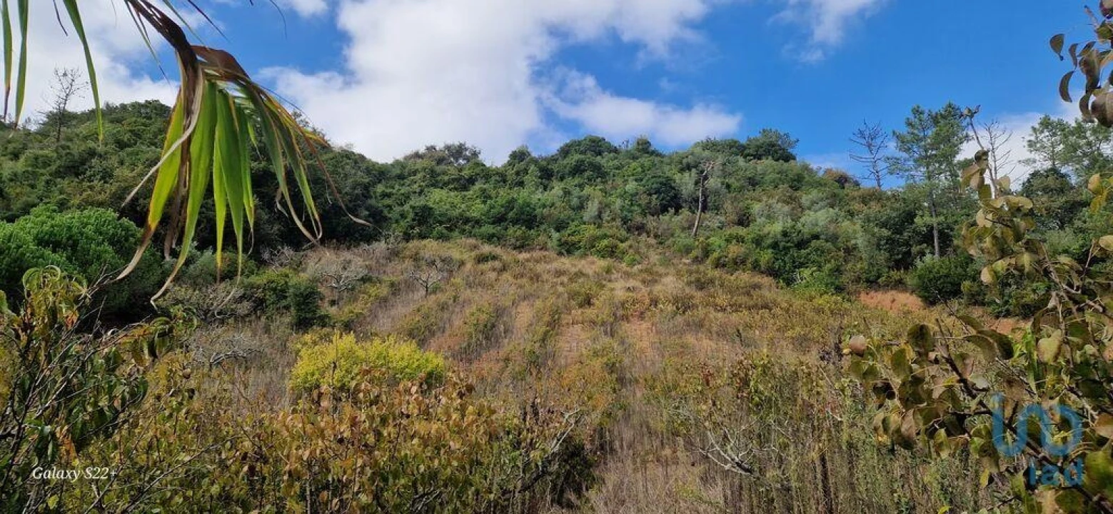 Terreno para Venda em Azueira e Sobral da Abelheira Foto 4