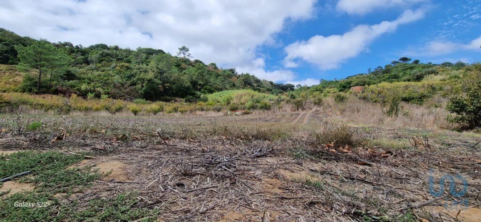 Terreno para Venda em Azueira e Sobral da Abelheira Foto 9