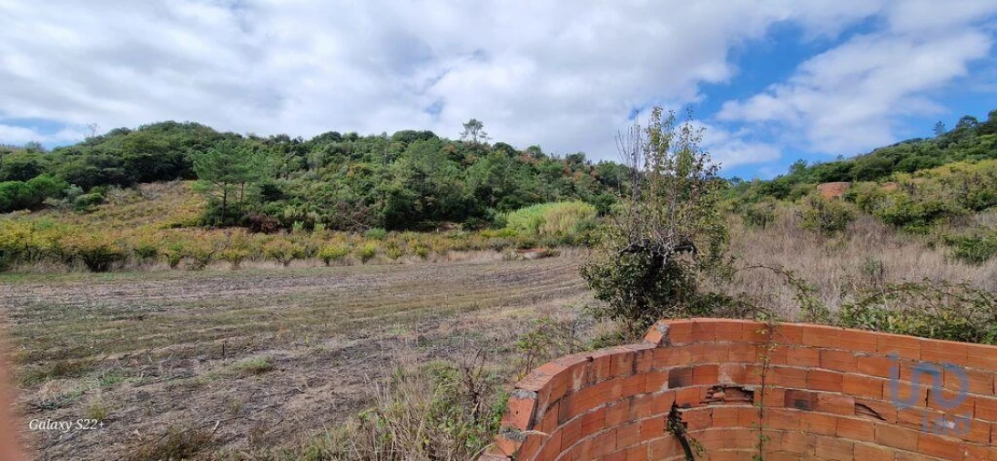 Terreno para Venda em Azueira e Sobral da Abelheira Foto 11