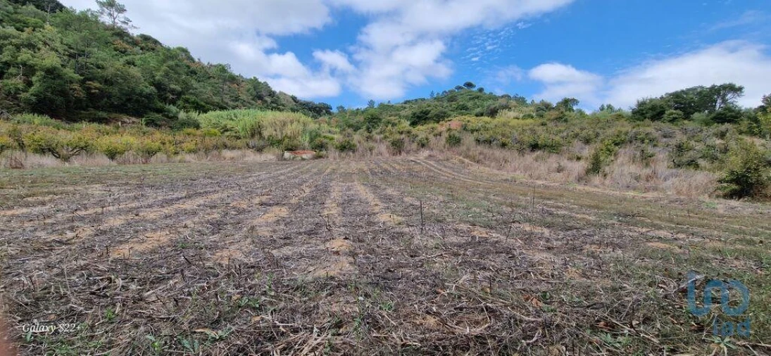 Terreno para Venda em Azueira e Sobral da Abelheira Foto 13