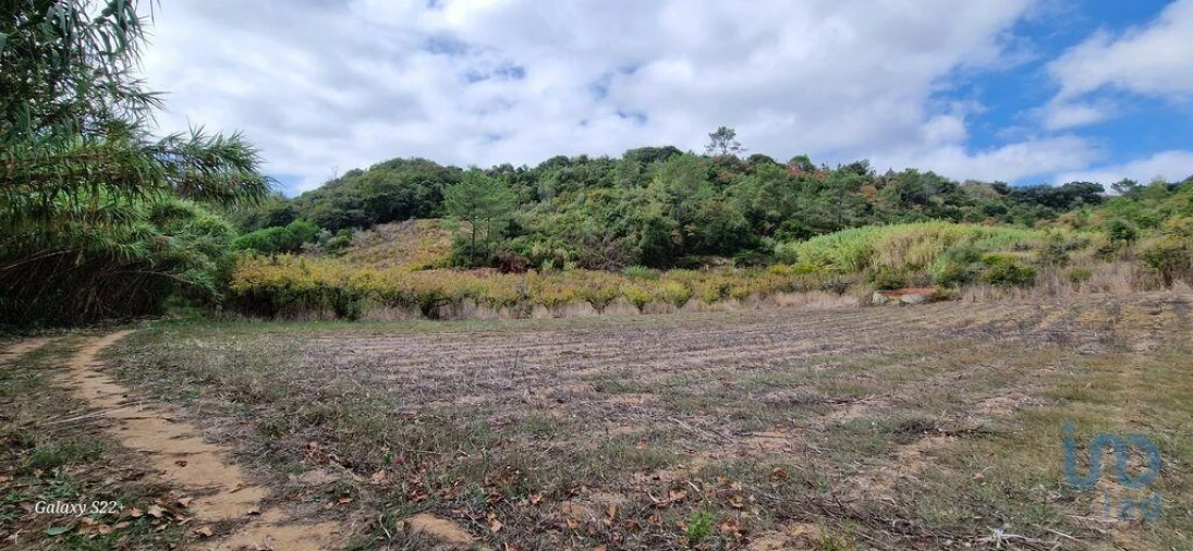 Terreno para Venda em Azueira e Sobral da Abelheira Foto 8