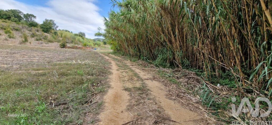 Terreno para Venda em Azueira e Sobral da Abelheira Foto 18