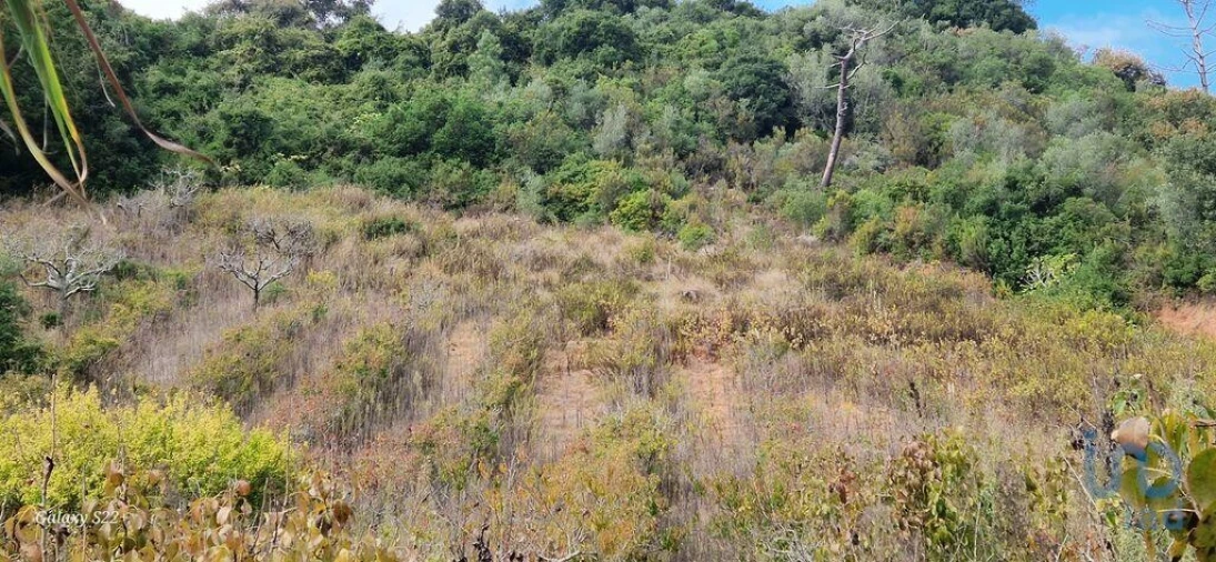 Terreno para Venda em Azueira e Sobral da Abelheira Foto 6