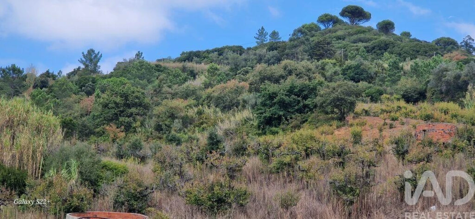 Terreno para Venda em Azueira e Sobral da Abelheira Foto 16